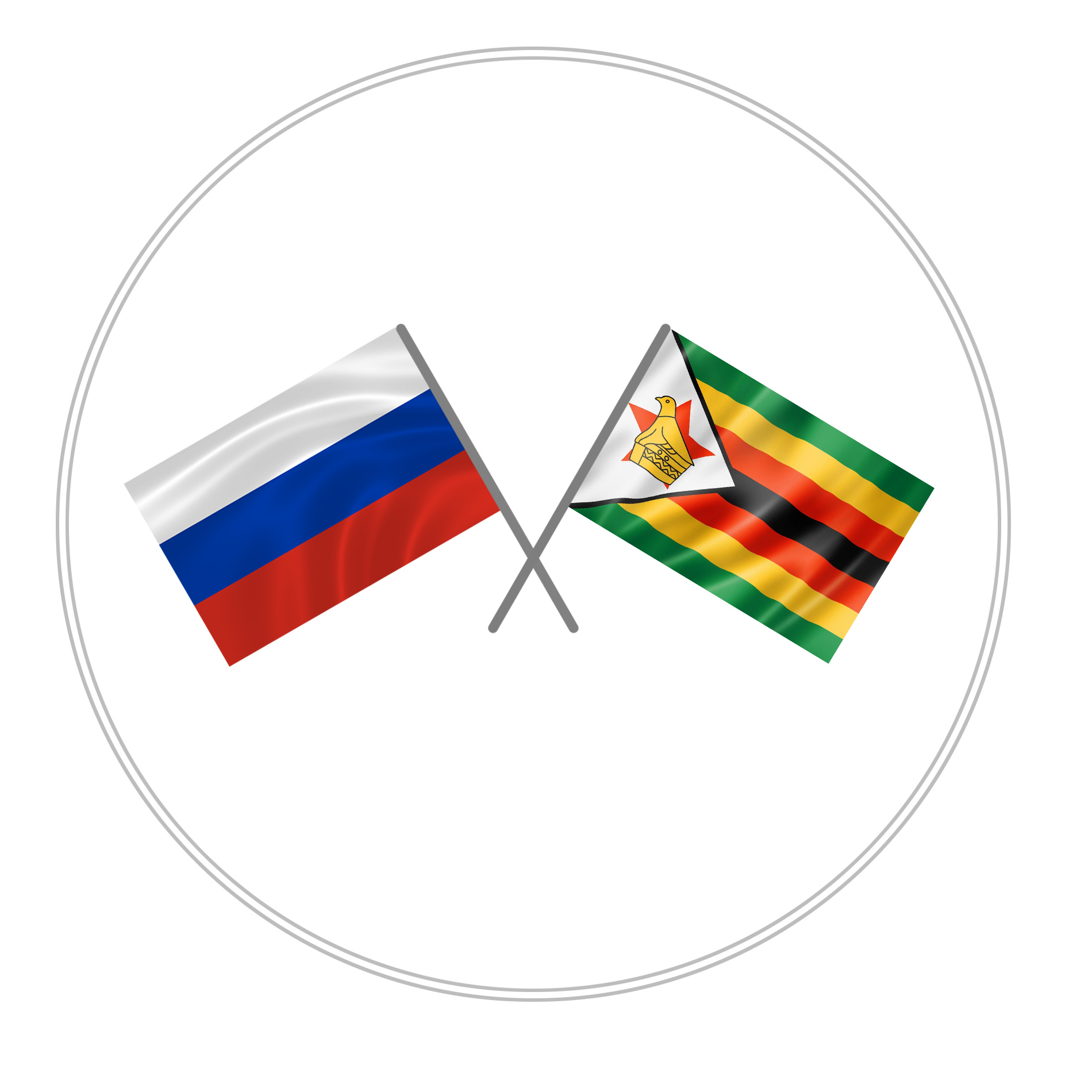 Вебинары Делового совета Россия – Зимбабве продолжаются